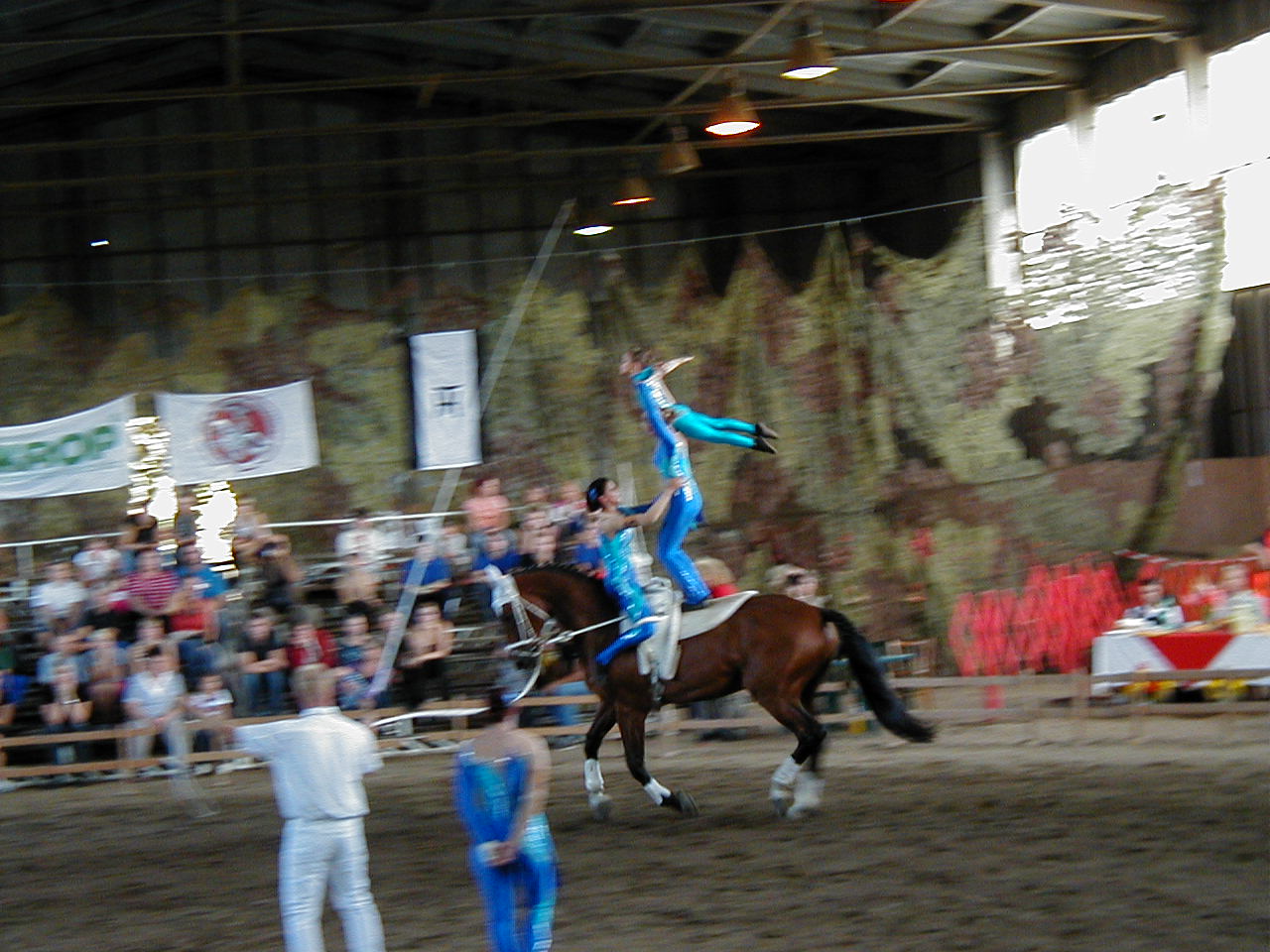 P1010010.JPG