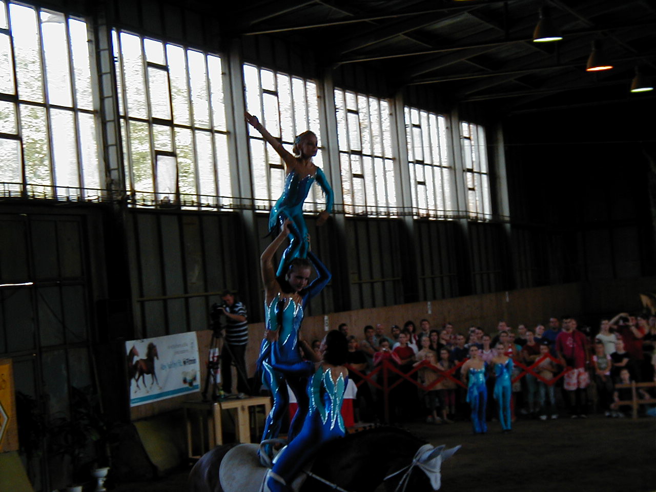 P1010011.JPG