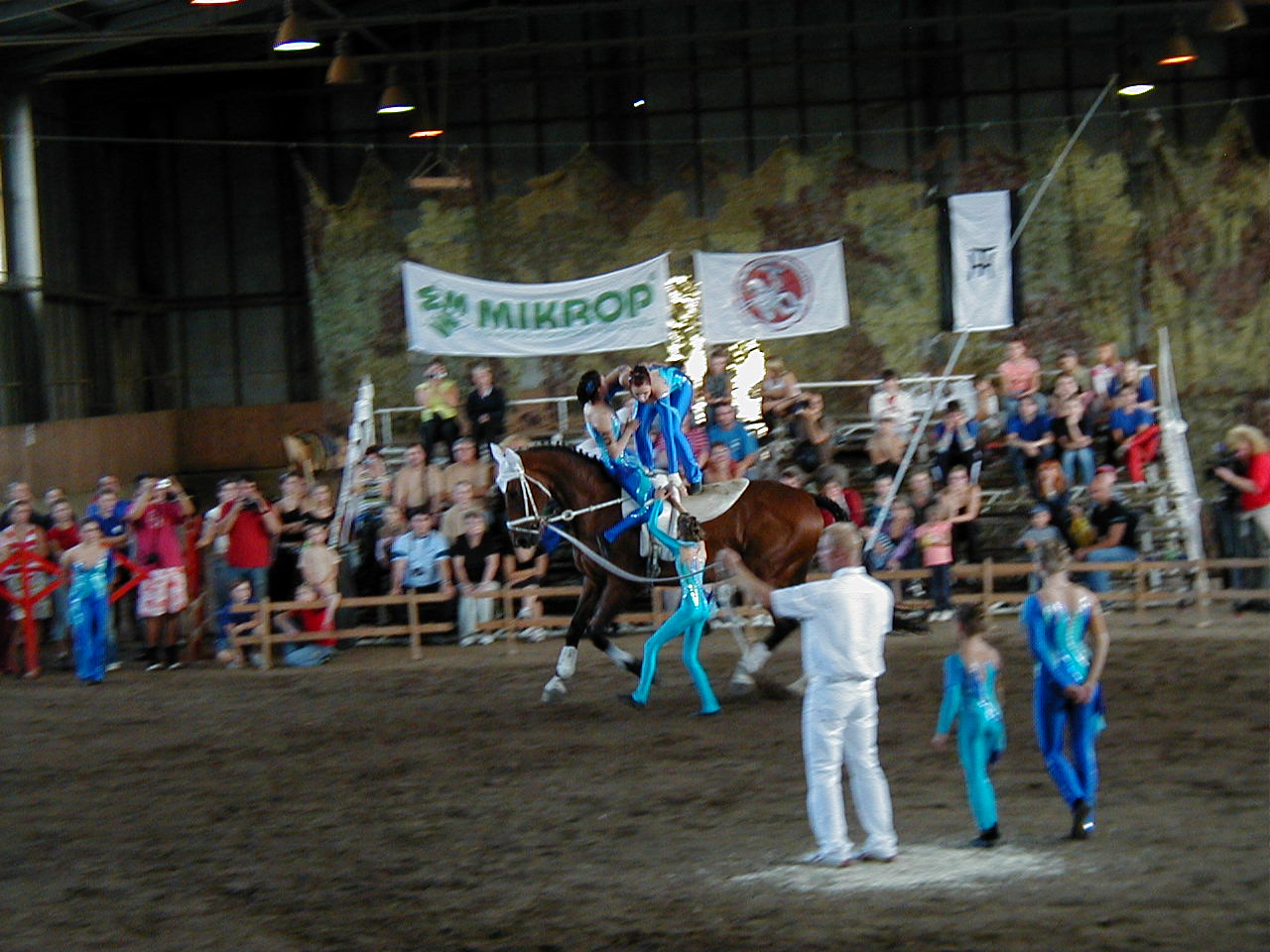 P1010002.JPG