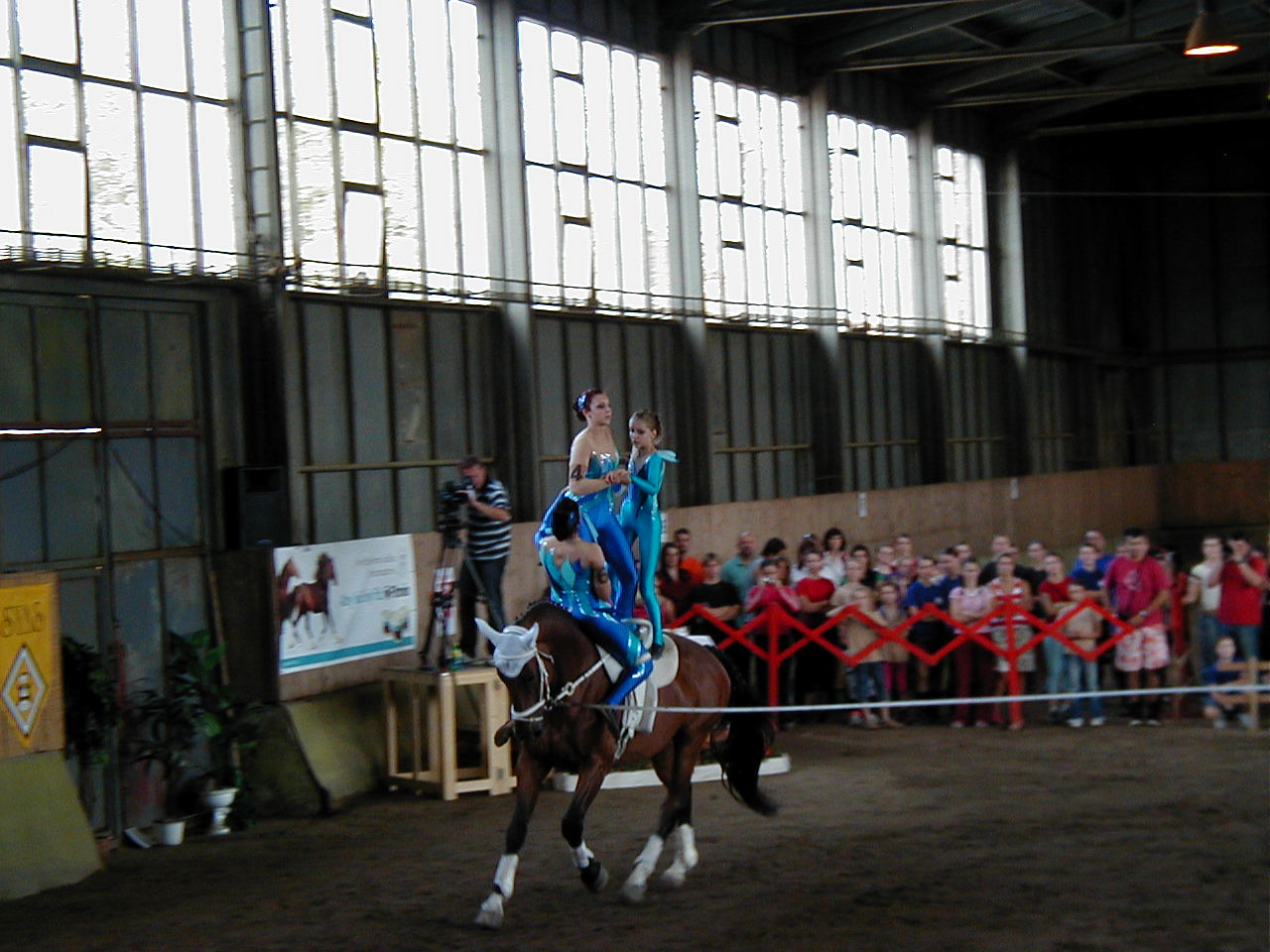 P1010003.JPG