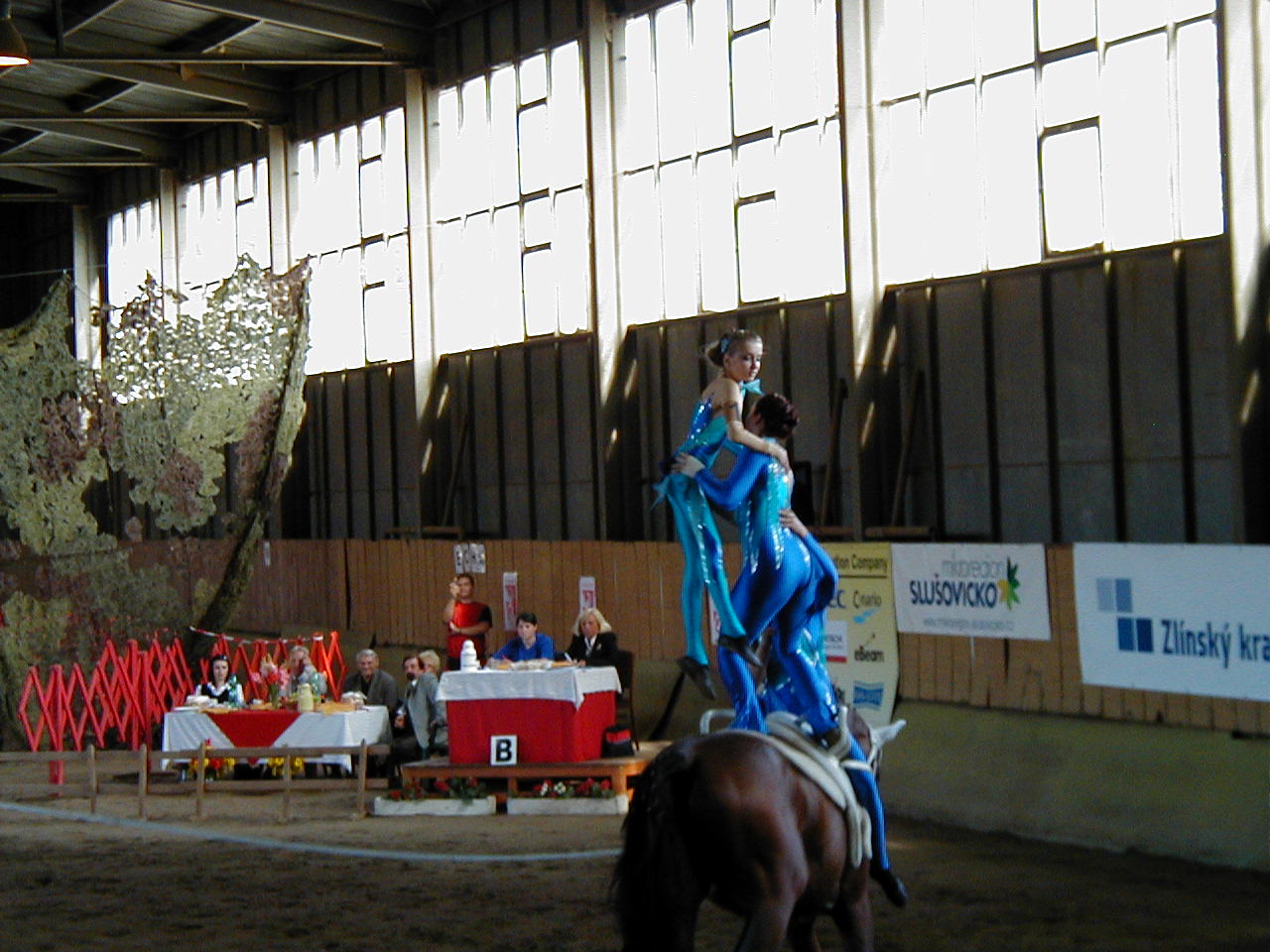 P1010004.JPG