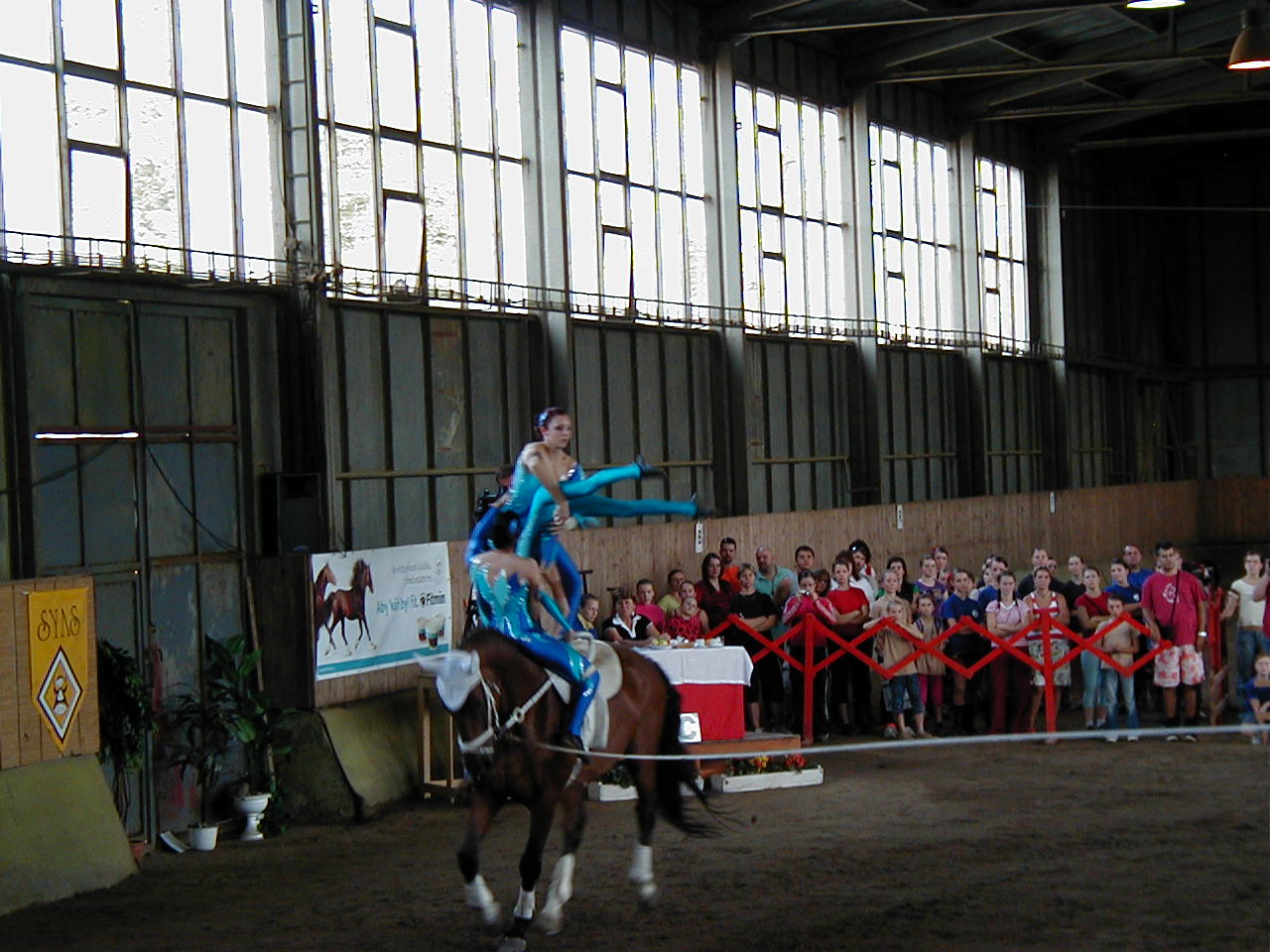 P1010005.JPG