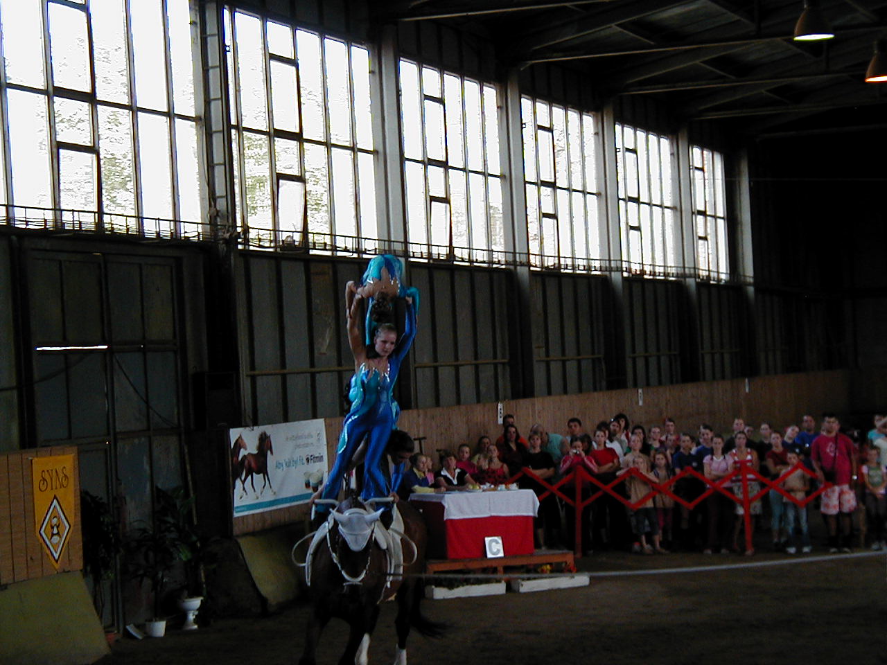 P1010007.JPG