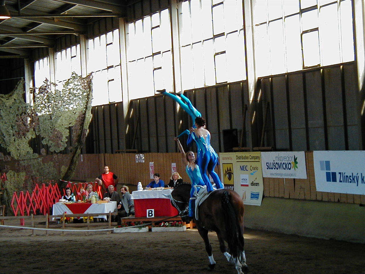 P1010008.JPG